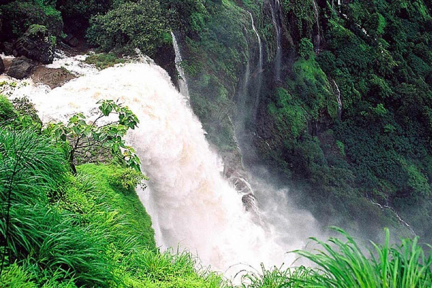 Dhobi Waterfall Mahabaleshwar